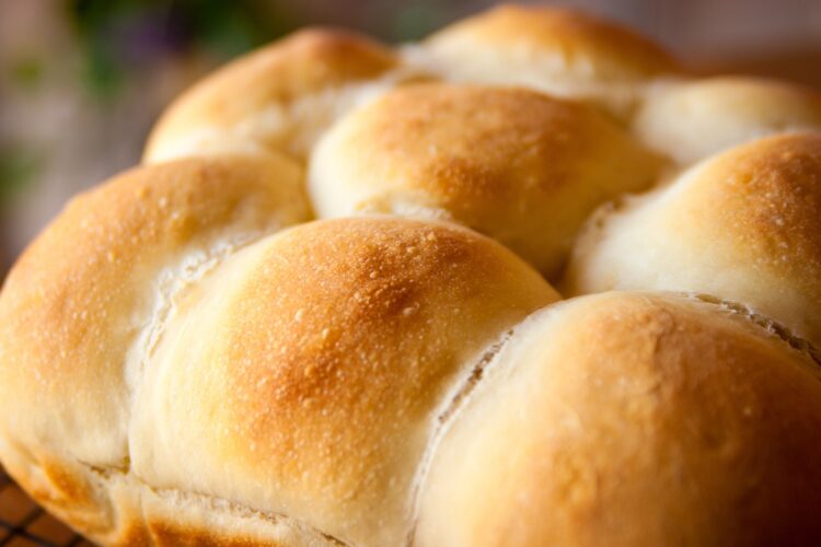 Old-Fashioned Dinner Rolls Recipe